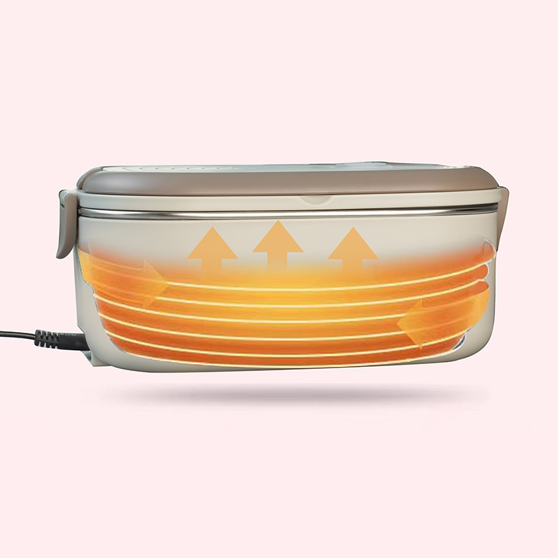 220V 110V Elektrische Lunchbox – Meal Prep Tupperware Bewertung und Preis