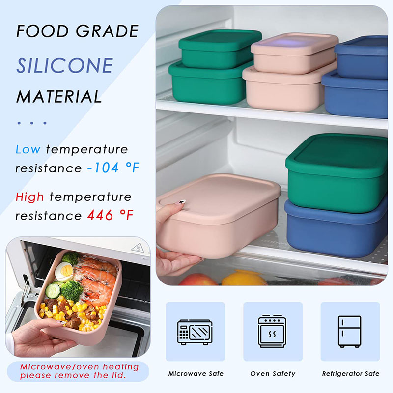 Auslaufsichere Bento-Lunchbox, – Meal Prep Tupperware Bewertung und Preis